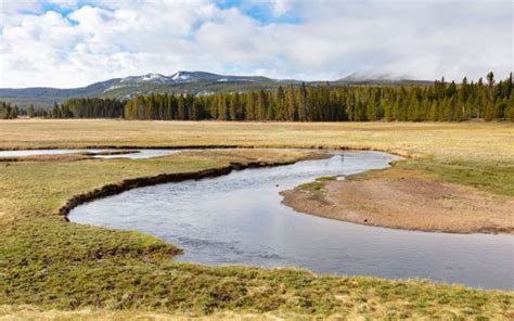 River Between Grass Field Landscape View Fog Mountains Trees Forest 4k