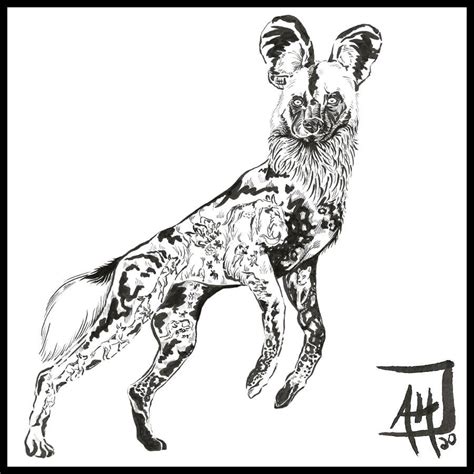 African Painted Dog Me Ink 2020 Rinkart