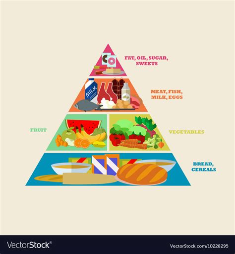 Healthy Food Pyramid Poster In Flat Style Vector Image Sexiz Pix