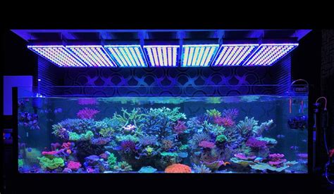 Aquarium Led Lighting • Orphek Reef Aquarium Led Lighting