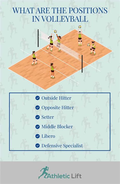 What Are The Positions In Volleyball Athleticlift