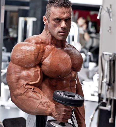 muscle morphs by hardtrainer01 body building men muscle men muscle