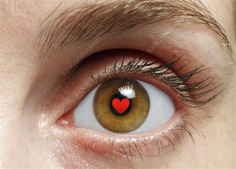 Eye With Heart Stock Image F0097367 Science Photo Library