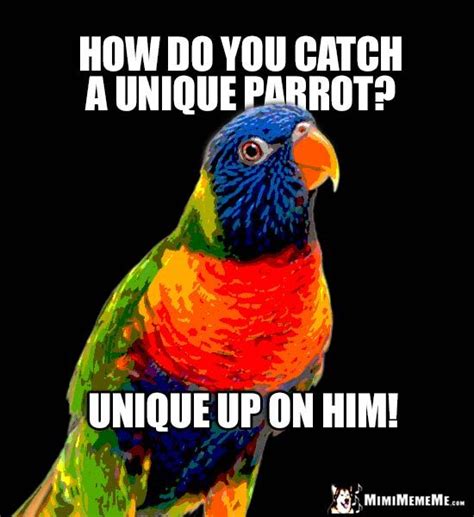 Funny Bird Pun How Do You Catch A Unique Parrot Unique Up On Him