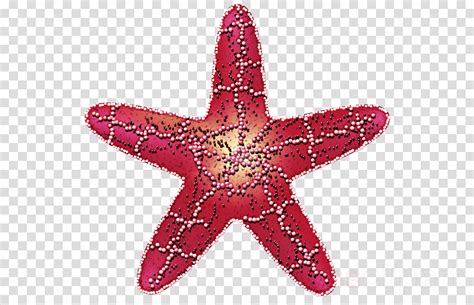 Starfish Clipart Glitter Pictures On Cliparts Pub 2020 🔝