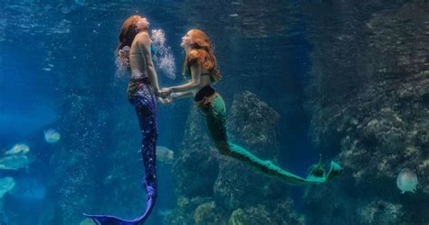 Real Mermaid Underwater