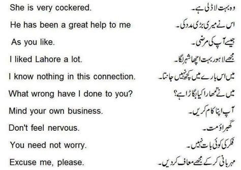 Translate English Into Urdu Or Urdu To English By Pakistanwrites2