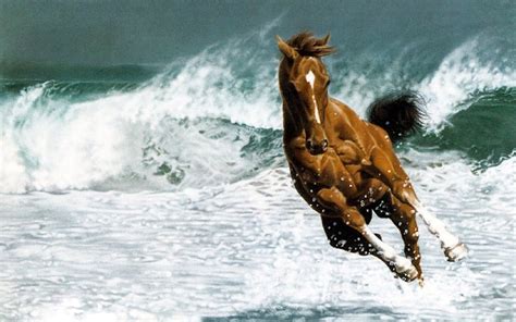 Horses - Horses Wallpaper (35309889) - Fanpop