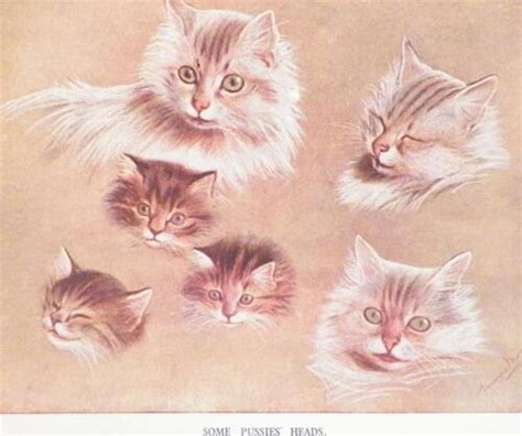 Cats Kittens Print Some Pussies Heads Fannie Moody Reproduction As Is
