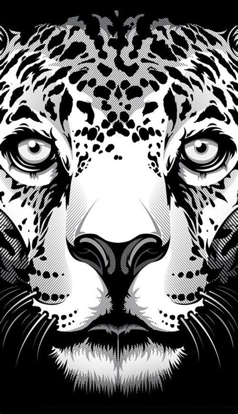 Jaguar Bernard Salunga Animal Art Illustration Art Cat Art