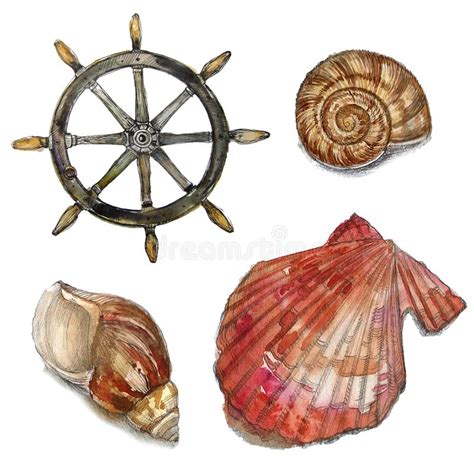 watercolor set of sea life nautical elements stock illustration illustration of nautical