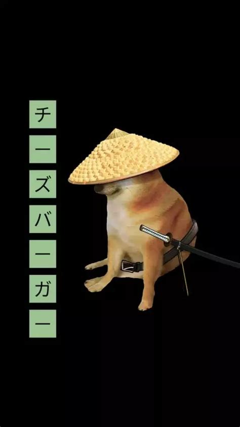 Samurai Doge Wallpaper Enwallpaper