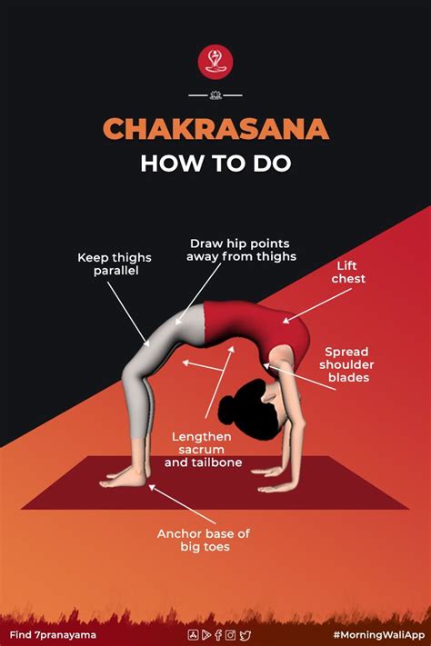 Chakrasana Urdhva Dhanurasana Wheel Pose Steps Benefits Yoga Facts Learn Yoga Yoga