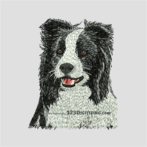 Dog Embroidery Border Collie Modern Embroidery Digital Embroidery
