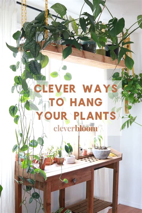 Clever Ways To Hang Your Plants Plant Decor Indoor Hanging Plants