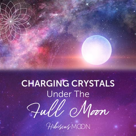 Blog Hibiscus Moon Crystal Academy