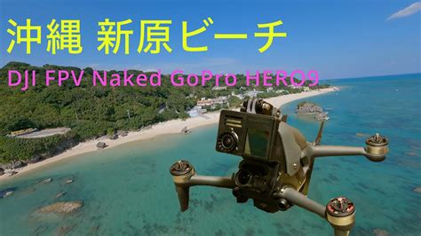 Dji Fpv Naked Gopro Hero Hero Yasu Youtube