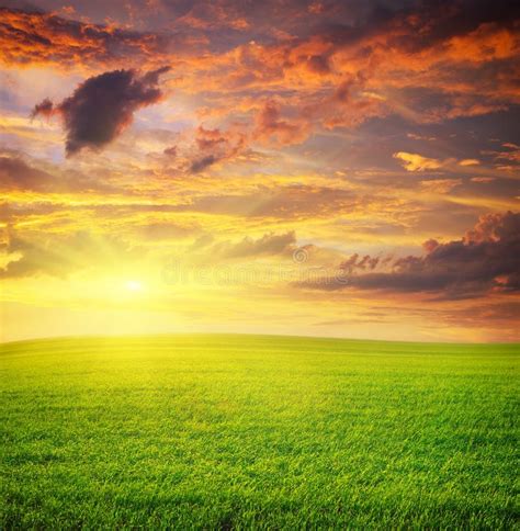 Sunrise In Grean Meadow Stock Image Image Of Color 64272721