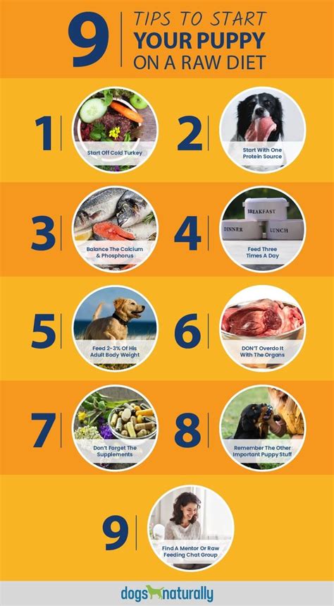 Just as there are risks and benefits to feeding on kibble, there are undoubtedly the same for raw feeding. Starting Your Puppy On A Raw Diet | Dogs Naturally ...