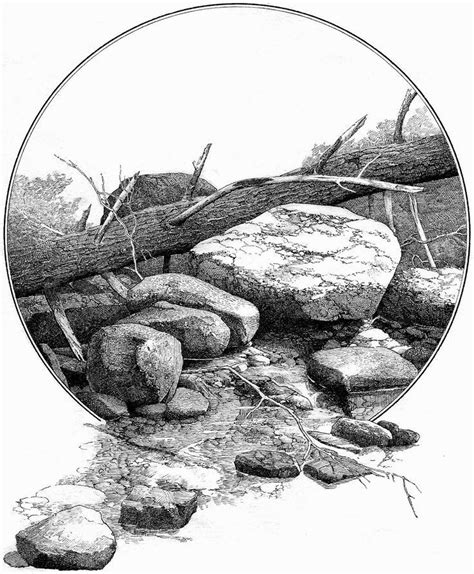 A copperplate writing nib is softer than a steel nib and allows you to create a more varied line. Image result for drawing realistic rocks | Realistic ...