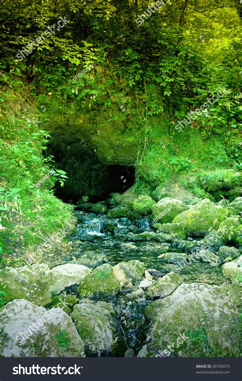 Jungle Forest And Water Spring In Cave Stock Photo 30109273 Shutterstock