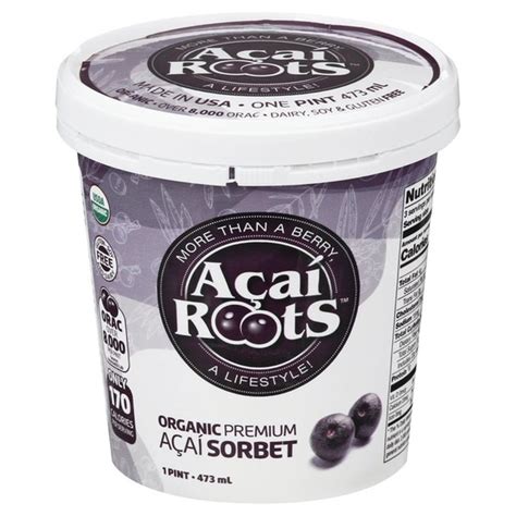 Acai Roots Sorbet Organic Acai Premium 1 Pt Instacart