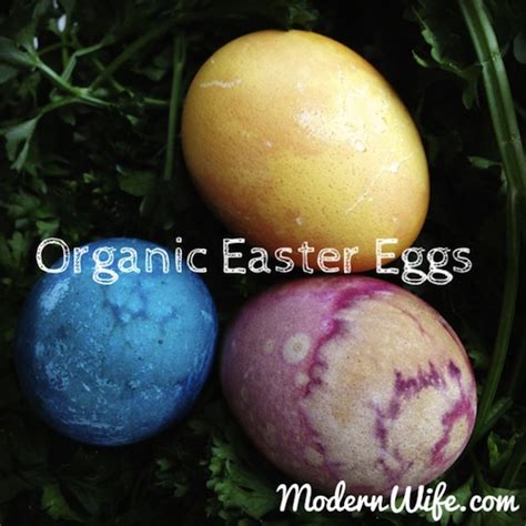 Organic Easter Eggs Modern Wife