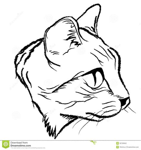 Easy Head Easy Cat Face Drawing Leafonsand