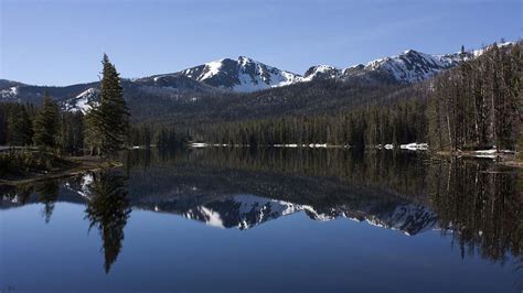 Five Reasons To Stay In Cody While Visiting Yellowstone