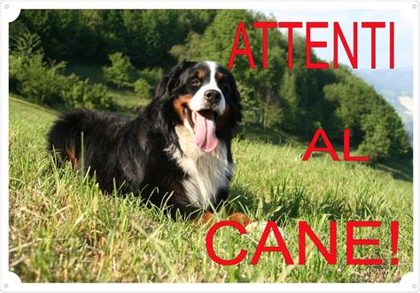 Cartellotarga Attenti Al Cane Da Cancello Bovaro Del Bernese Cm X