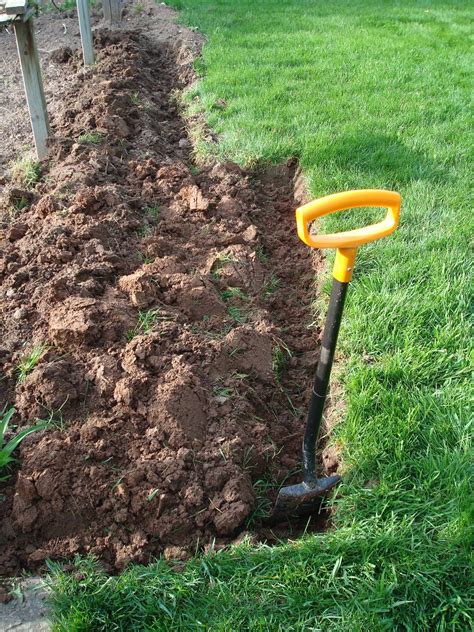 Firstly, spring growth is stronger and healthier in the no dig beds, whereas the dug beds tend to catch up in autumn. The Vegetable Garden: Double Digging the Garden
