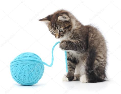 Cat With Ball Of Yarn — Stock Photo © Tsekhmister 32044257