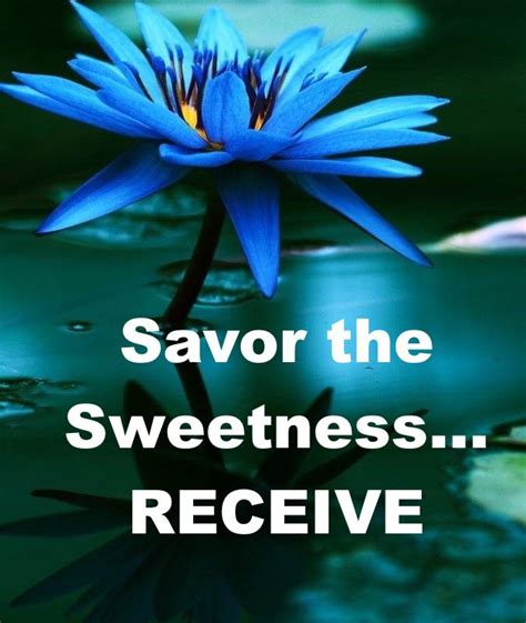 Savor The Sweetness Receive The Light Gap