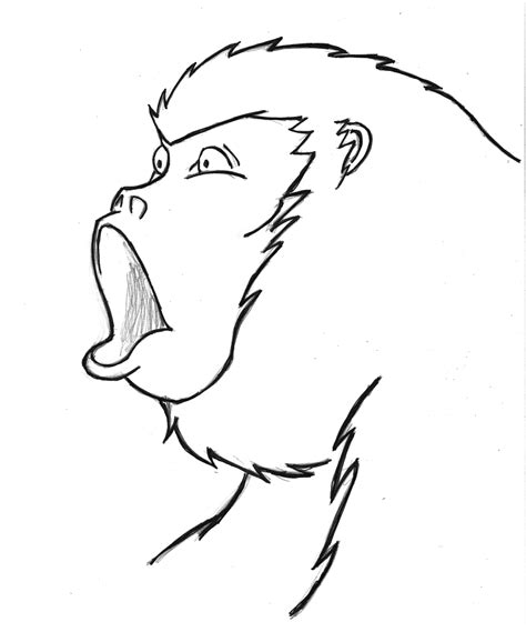 Howler Monkey Drawing At Explore Collection Of