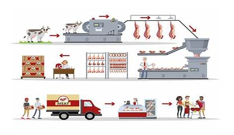 Meat Processing Diagram