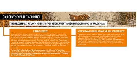 Wwf Tigers Alive Initiative Strategy