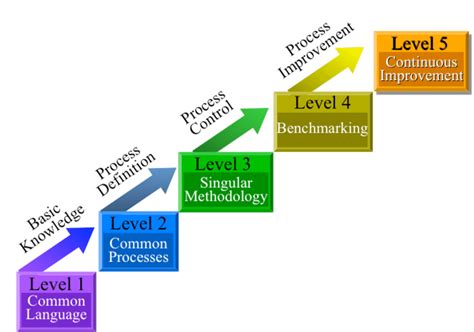 Kerzners Project Management Maturity Model Levels Of Maturity