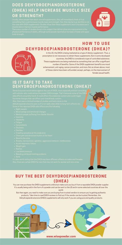 The Best Dehydroepiandrosterone Dhea Supplements
