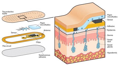 Sweat Sensors Will Change How Wearables Track Your Health Ieee Spectrum