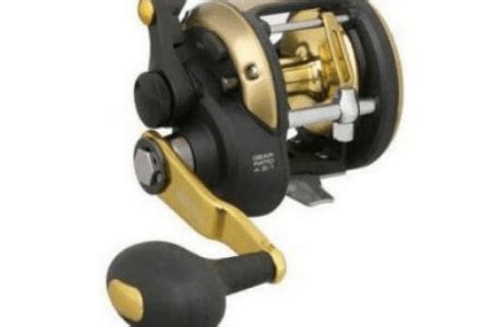 How To Choose The Right Fishing Reel For Your Next Fishing Adventure