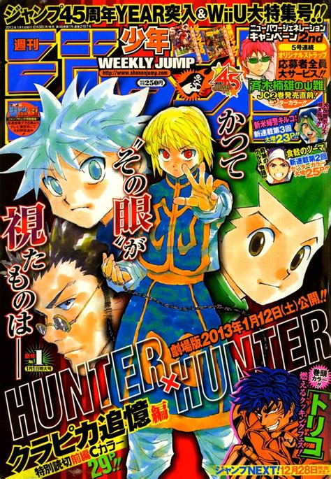 Pin By Lemoinade On Hunter X Hunter Anime Wall Art Manga Covers