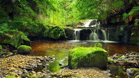 Waterfall Stream Pond Cascades Gravel Rocks Green Moss Trees Hd