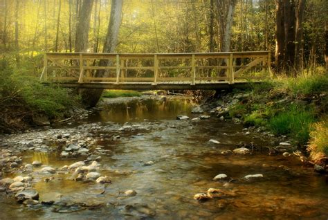 Free Download Wallpaper Forest River Creek Bridge Wallpapers Nature