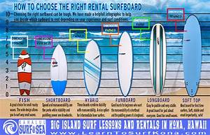 Surfing Infographic How To Choose The Right Surfboard