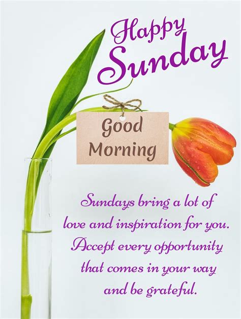 Happy Sunday Messages Happy Sunday Pictures Good Morning Sunday