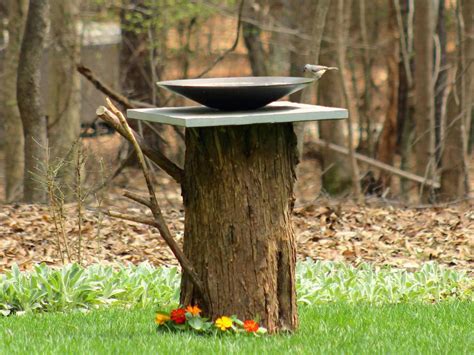 Diy Birdbath From An Old Tree Stump Hgtv