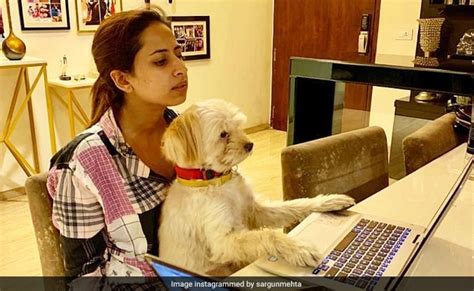 Tv Actress Sargun Mehta Dog Working On Laptop Actress Shares Photo On