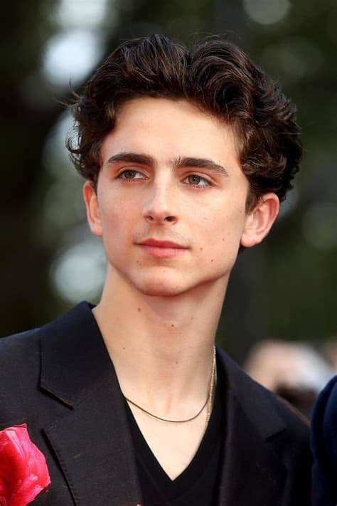 Timothée hal chalamet was born in manhattan, to nicole flender, a real estate broker and dancer, and marc chalamet, a unicef editor. Timothée Chalamet - Gorgeous Gentlemen