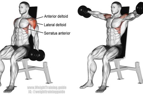 Seated Dumbbell Lateral Raise Exercise Gymworkouts Shoulder Workout
