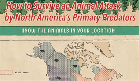 Infographic How To Survive An Animal Attack By North Americas